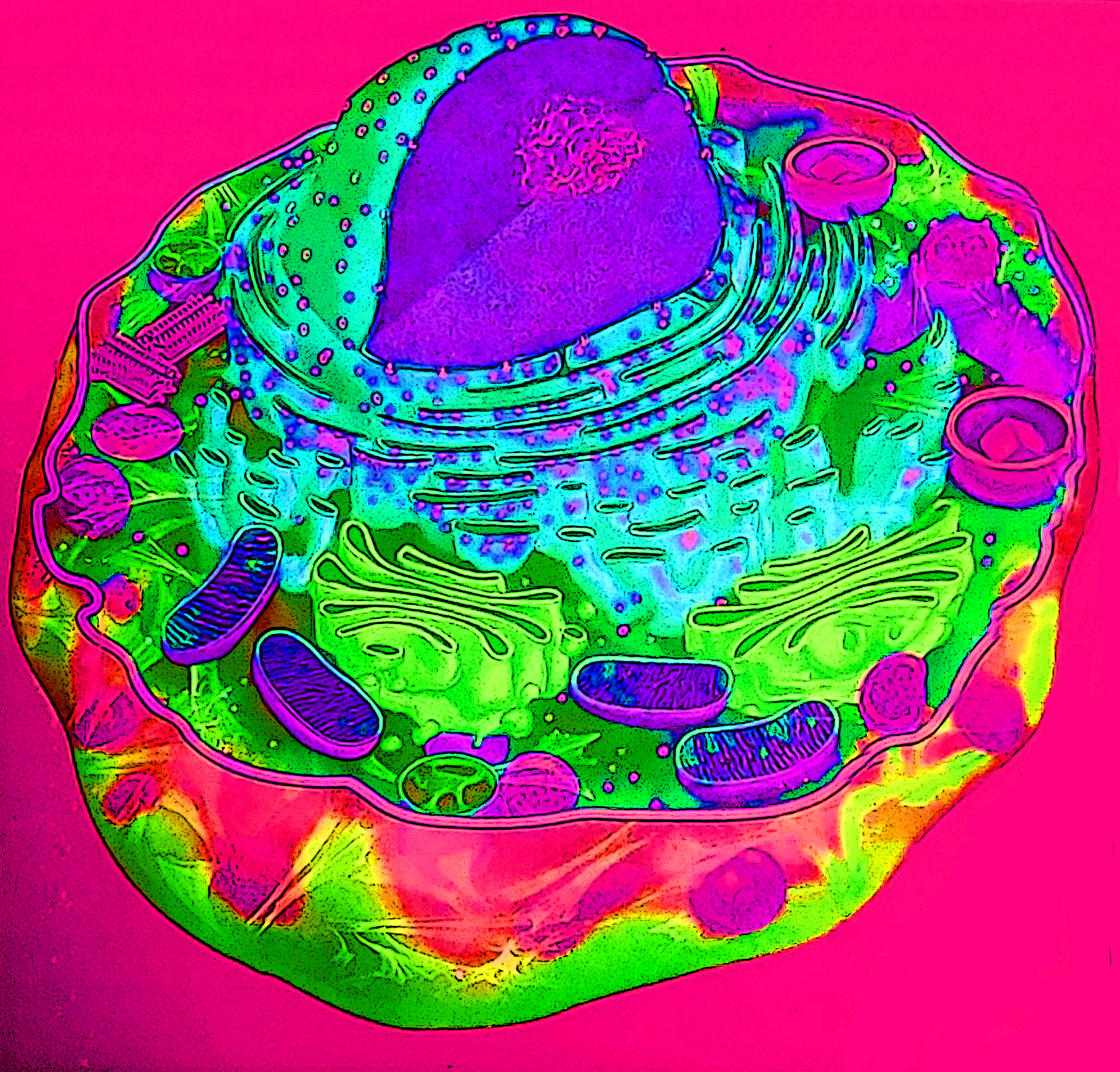 A biological research project to bring a collaboration of various biological data, research, and knowledge into one direction to gain a higher understanding of biology as a single, disciplinary study of nature