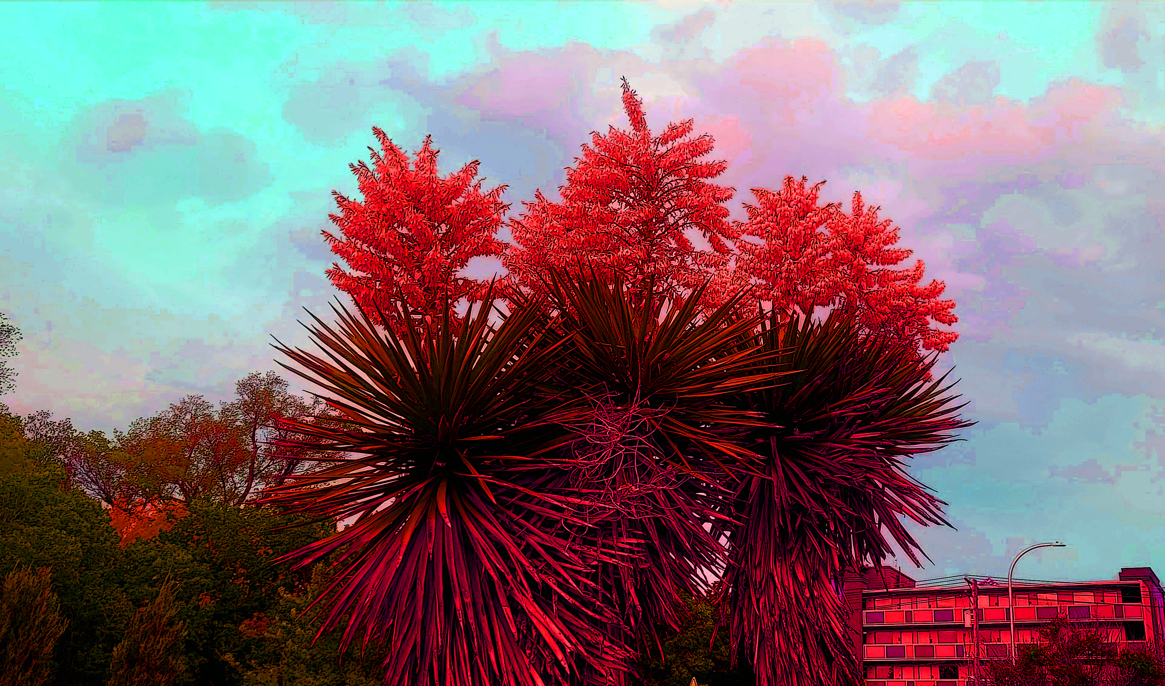 Transdimensional Mammals and Plants